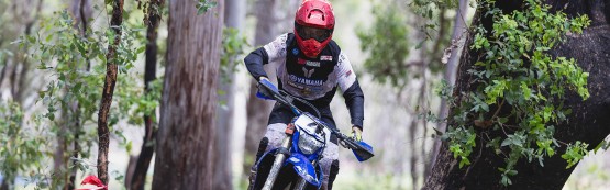 Ruprecht Rules in Roma